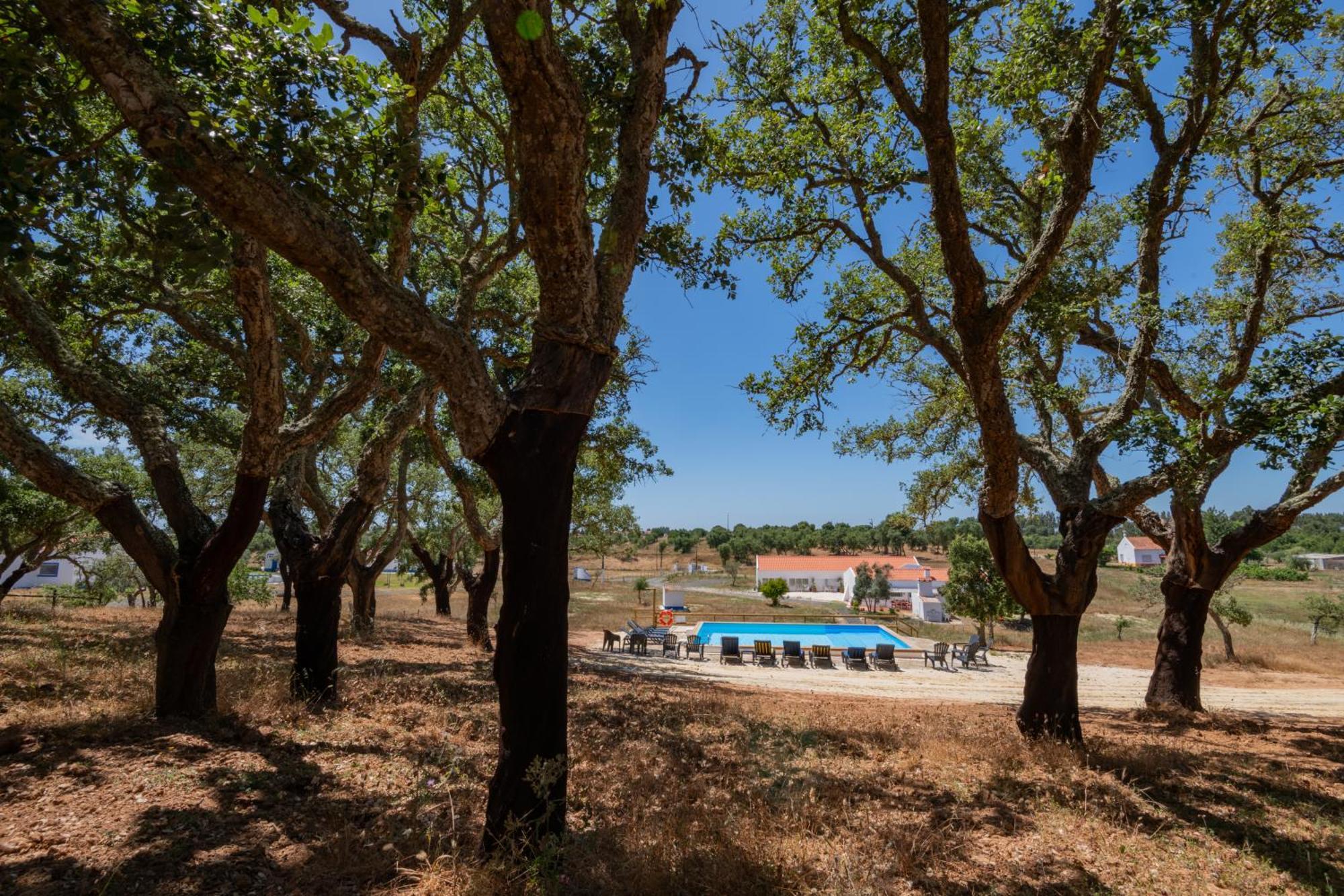 Valle D'Agua - Casas De Campo Vale de Água المظهر الخارجي الصورة